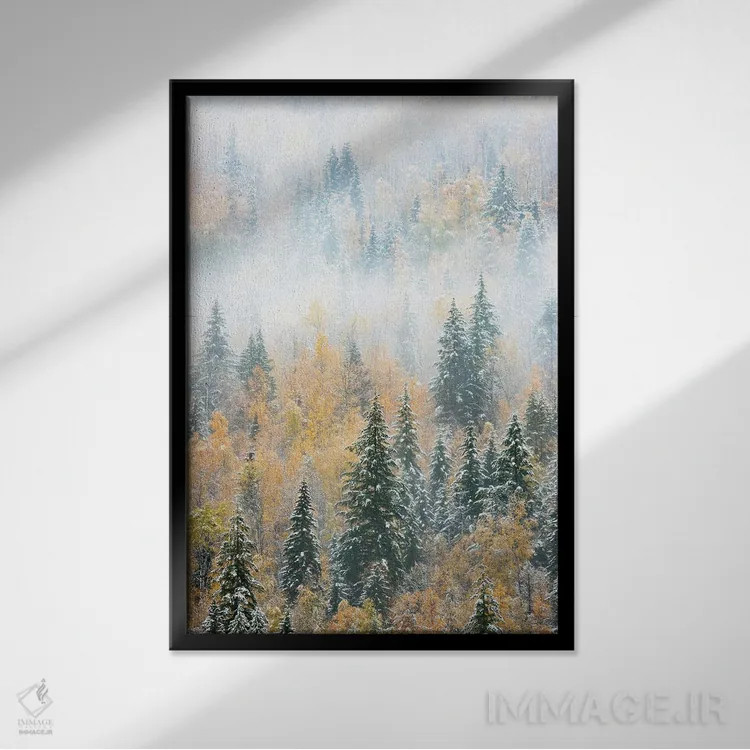 تابلو دکوراتیو Canada. Early morning fog in a mixed tree forest, Wells Gr… اثر جودیت زیمرمن - نمای قابدار مشکی