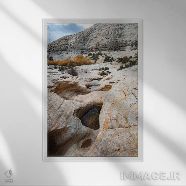 تابلو دکوراتیو Utah. Waterpockets and autumnal cottonwood trees, Grand St… اثر جودیت زیمرمن - نمای قابدار سفید