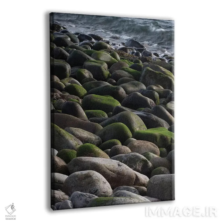 تابلو دکوراتیو Maine. Moss covered rocks and ocean, Boulder Beach, Acadia… اثر جودیت زیمرمن - نمای پرسپکتیو محصول