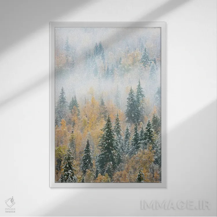 تابلو دکوراتیو Canada. Early morning fog in a mixed tree forest, Wells Gr… اثر جودیت زیمرمن - نمای قابدار سفید