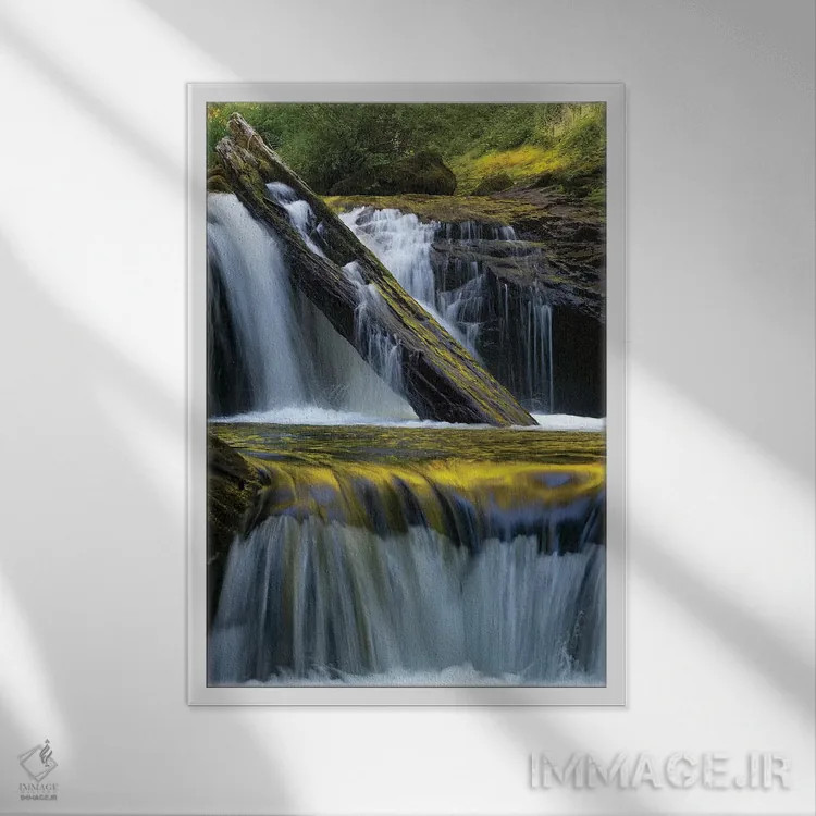 تابلو دکوراتیو Siuslaw National Forest,ایالات متحده. برگ افتاده و بازتاب… اثر جودیت زیمرمن - نمای قابدار سفید