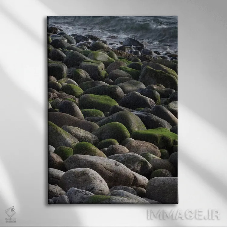 تابلو دکوراتیو Maine. Moss covered rocks and ocean, Boulder Beach, Acadia… اثر جودیت زیمرمن - نمای روبهرو روی دیوار