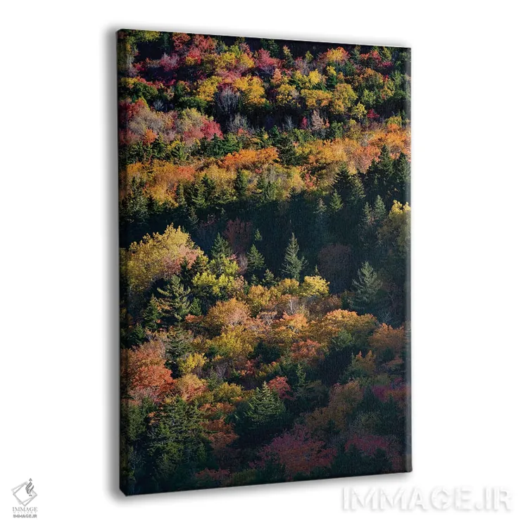 تابلو دکوراتیو Maine. Autumn foliage viewed from atop The Bubbles near Jo… اثر جودیت زیمرمن - نمای پرسپکتیو محصول