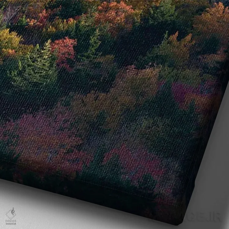 تابلو دکوراتیو Maine. Autumn foliage viewed from atop The Bubbles near Jo… اثر جودیت زیمرمن - نمای نزدیک بافت بوم