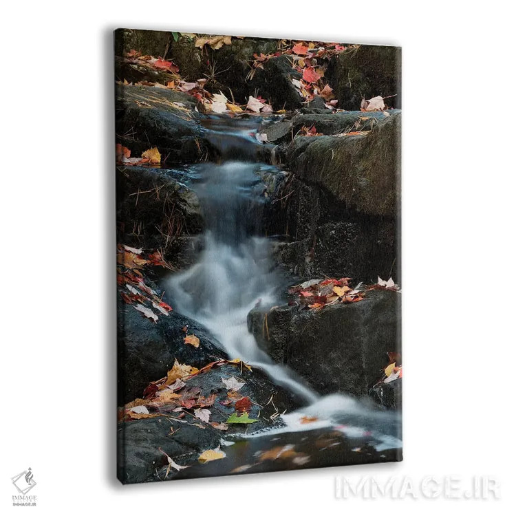 تابلو دکوراتیو Maine. Autumn leaves along small waterfall on Duck Brook… اثر جودیت زیمرمن - نمای پرسپکتیو محصول