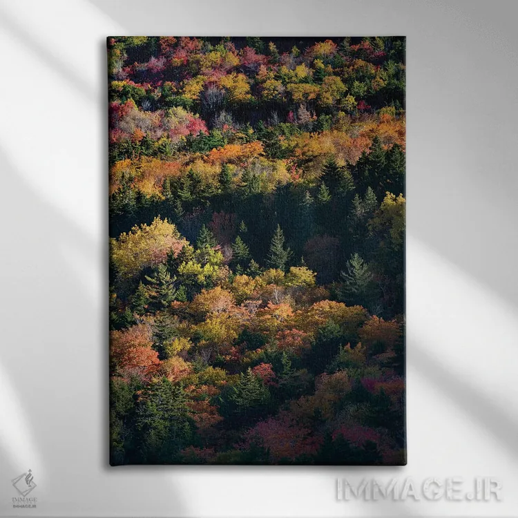 تابلو دکوراتیو Maine. Autumn foliage viewed from atop The Bubbles near Jo… اثر جودیت زیمرمن - نمای روبهرو روی دیوار