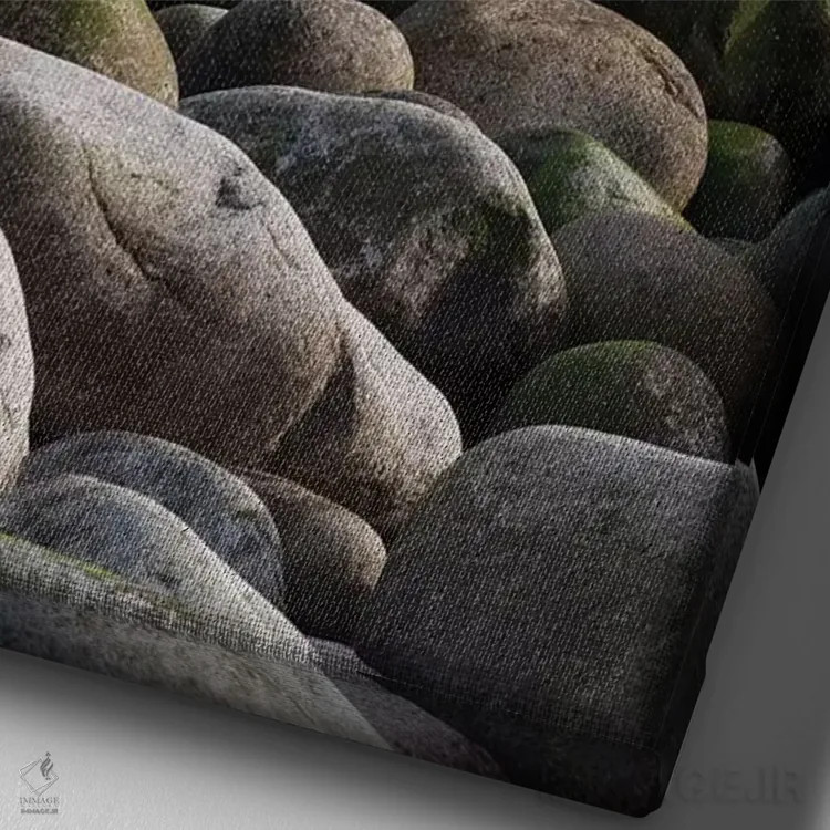 تابلو دکوراتیو Maine. Moss covered rocks and ocean, Boulder Beach, Acadia… اثر جودیت زیمرمن - نمای نزدیک بافت بوم