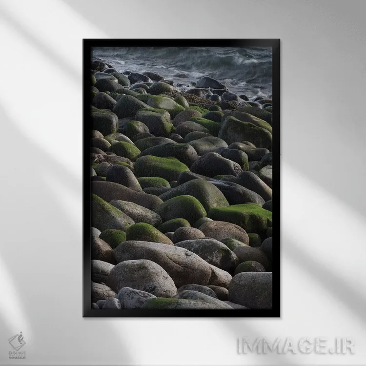 تابلو دکوراتیو Maine. Moss covered rocks and ocean, Boulder Beach, Acadia… اثر جودیت زیمرمن - نمای قابدار مشکی