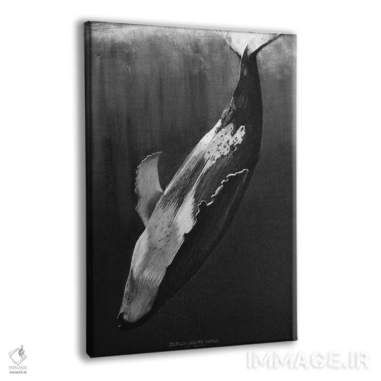 تابلو دکوراتیو نهنگ سیاه اثر یوهان زلنین - نمای پرسپکتیو محصول
