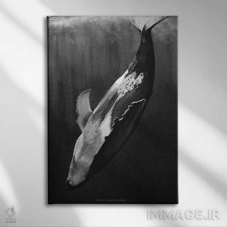 تابلو دکوراتیو نهنگ سیاه اثر یوهان زلنین - نمای روبهرو روی دیوار