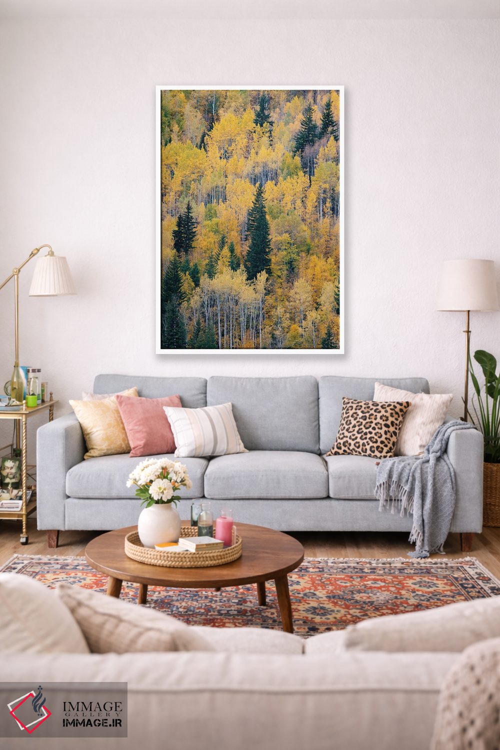 تابلو دکوراتیو British Columbia. Autumn aspen and pines, Wells-Gray Provi… اثر جودیت زیمرمن - D1W