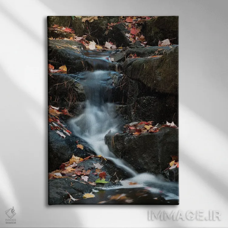 تابلو دکوراتیو Maine. Autumn leaves along small waterfall on Duck Brook… اثر جودیت زیمرمن - نمای روبهرو روی دیوار