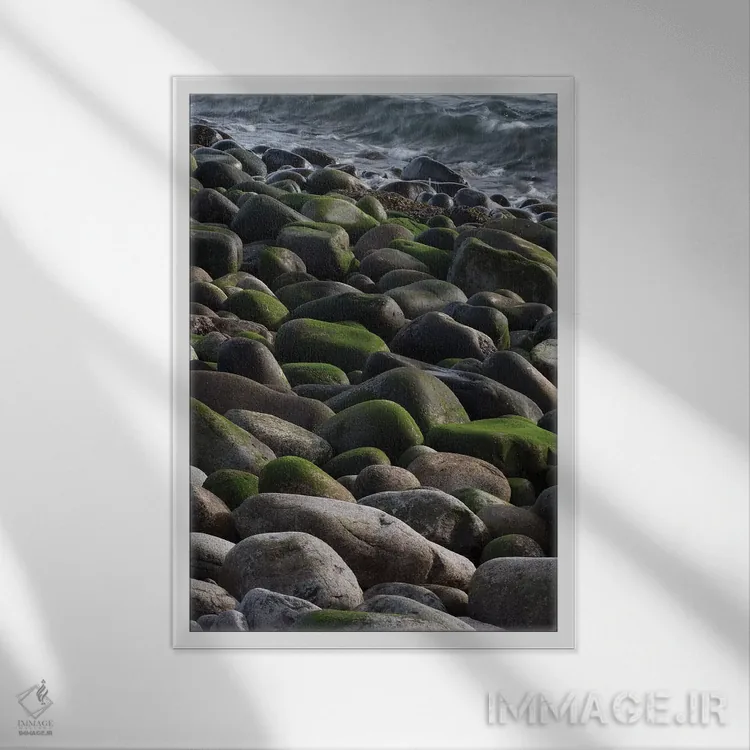 تابلو دکوراتیو Maine. Moss covered rocks and ocean, Boulder Beach, Acadia… اثر جودیت زیمرمن - نمای قابدار سفید