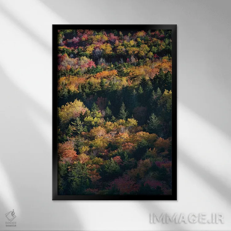 تابلو دکوراتیو Maine. Autumn foliage viewed from atop The Bubbles near Jo… اثر جودیت زیمرمن - نمای قابدار مشکی