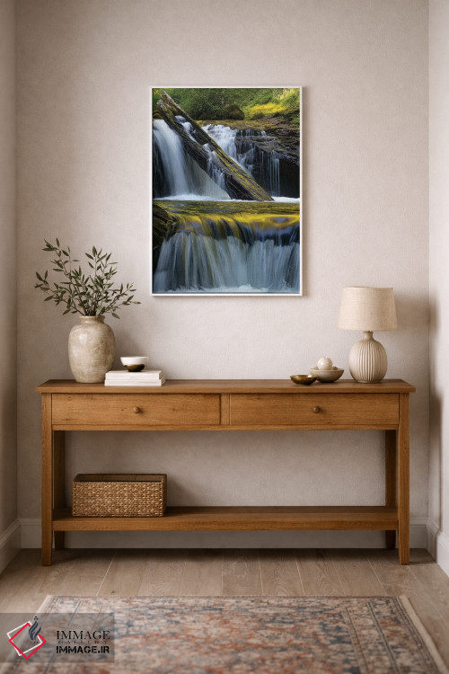 تابلو دکوراتیو Siuslaw National Forest,ایالات متحده. برگ افتاده و بازتاب… اثر جودیت زیمرمن - D1W