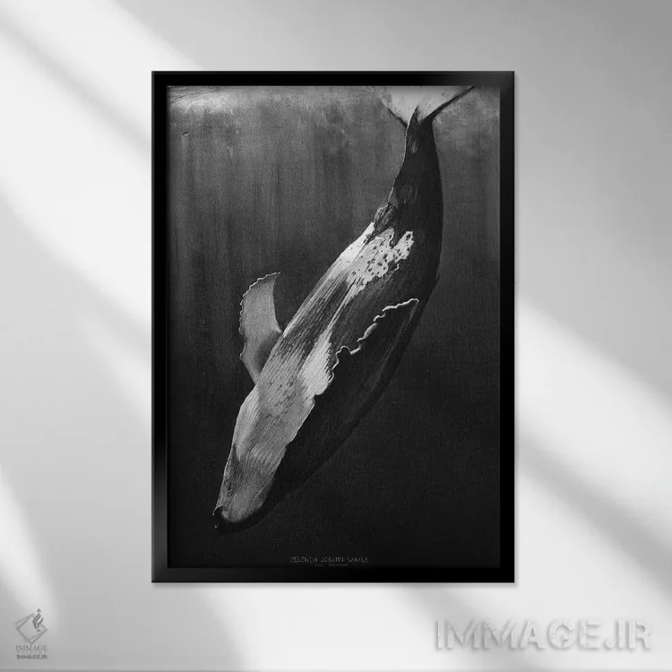 تابلو دکوراتیو نهنگ سیاه اثر یوهان زلنین - نمای قابدار مشکی