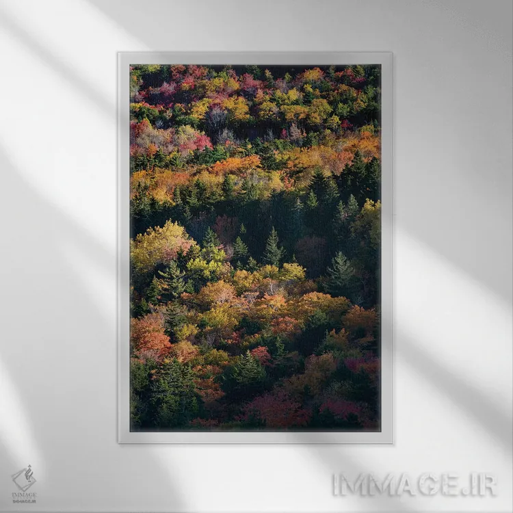 تابلو دکوراتیو Maine. Autumn foliage viewed from atop The Bubbles near Jo… اثر جودیت زیمرمن - نمای قابدار سفید