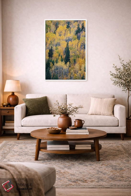 تابلو دکوراتیو British Columbia. Autumn aspen and pines, Wells-Gray Provi… اثر جودیت زیمرمن - D3W