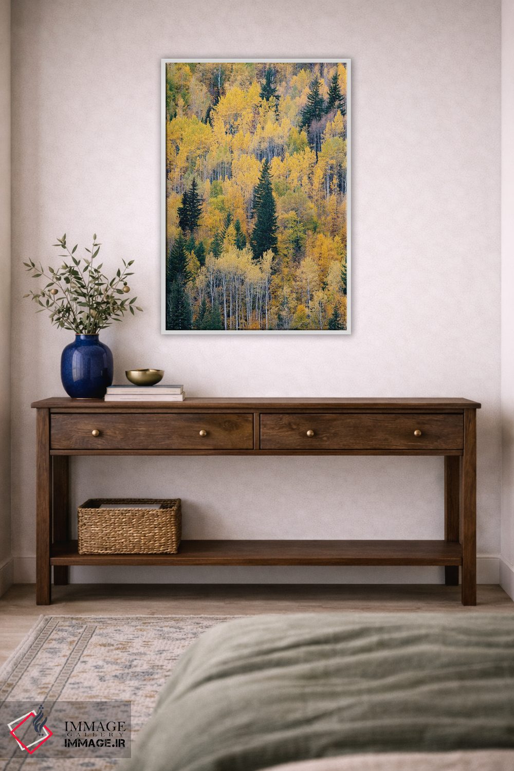 تابلو دکوراتیو British Columbia. Autumn aspen and pines, Wells-Gray Provi… اثر جودیت زیمرمن - D4W