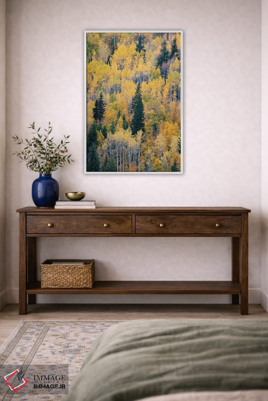 تابلو دکوراتیو British Columbia. Autumn aspen and pines, Wells-Gray Provi… اثر جودیت زیمرمن - D4W