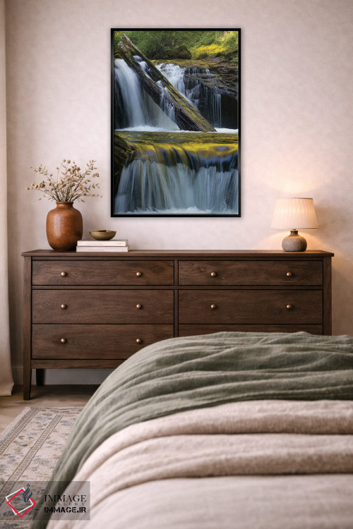 تابلو دکوراتیو Siuslaw National Forest,ایالات متحده. برگ افتاده و بازتاب… اثر جودیت زیمرمن - D5B