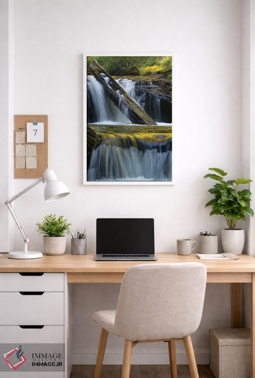 تابلو دکوراتیو Siuslaw National Forest,ایالات متحده. برگ افتاده و بازتاب… اثر جودیت زیمرمن - D4W