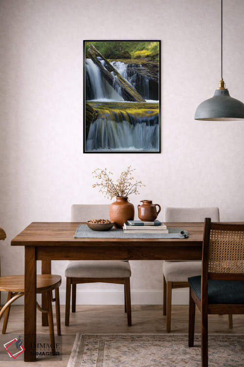 تابلو دکوراتیو Siuslaw National Forest,ایالات متحده. برگ افتاده و بازتاب… اثر جودیت زیمرمن - D6B