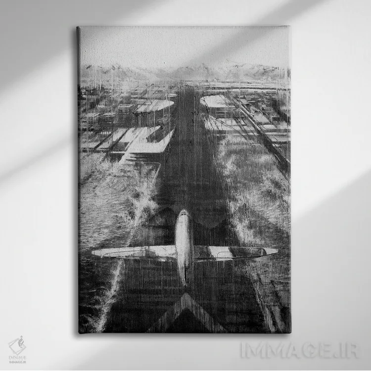 تابلو دکوراتیو هواپیما اثر یوهان زلنین - نمای روبهرو روی دیوار