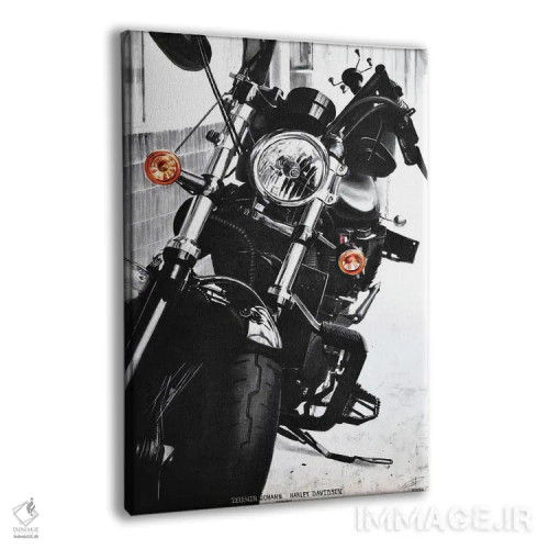 تابلو دکوراتیو هارلی دیویدسون اثر یوهان زلنین - نمای پرسپکتیو محصول