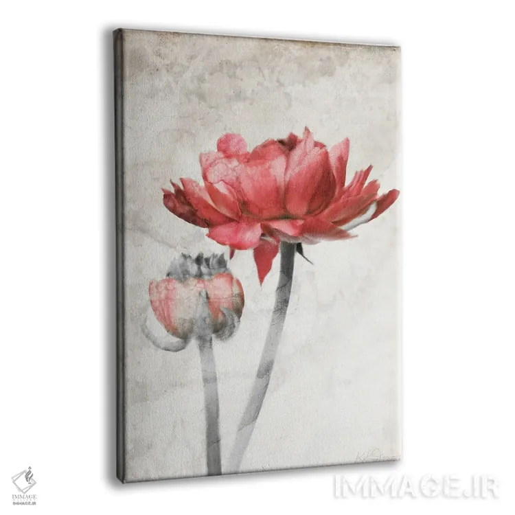 تابلو مدرن شکوفه قرمز خیره کننده اثر کاترینا جونز - نمای پرسپکتیو محصول