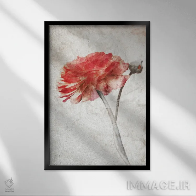 تابلو مدرن شکوفه سرخ خیره کننده اثر کاترینا جونز - نمای قابدار مشکی