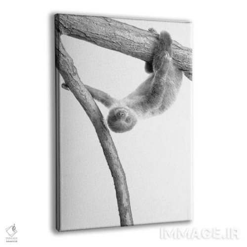 تابلو دکوراتیو تنبل کوچولو I اثر کیمبرلی آلن - نمای پرسپکتیو محصول
