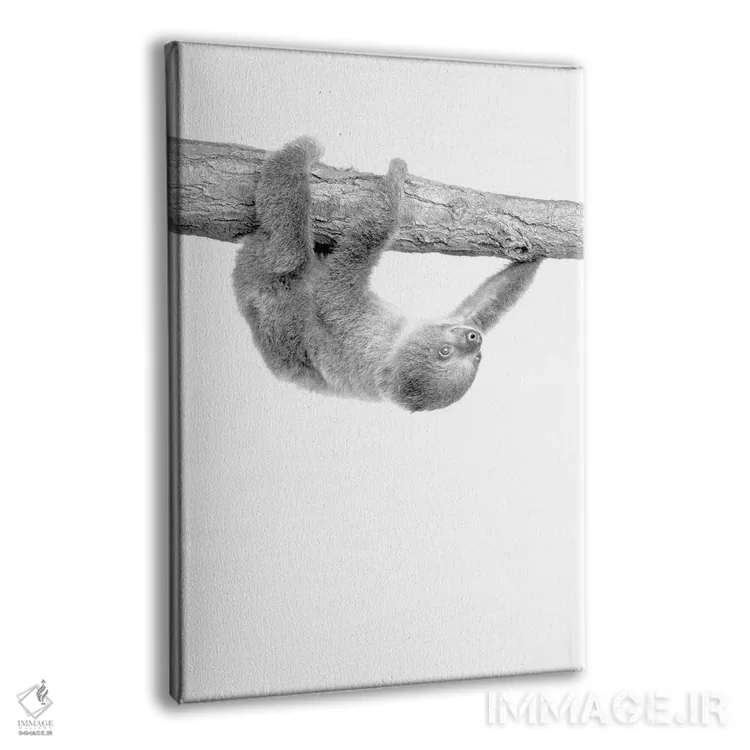 تابلو دکوراتیو تنبل کوچولو III اثر کیمبرلی آلن - نمای پرسپکتیو محصول