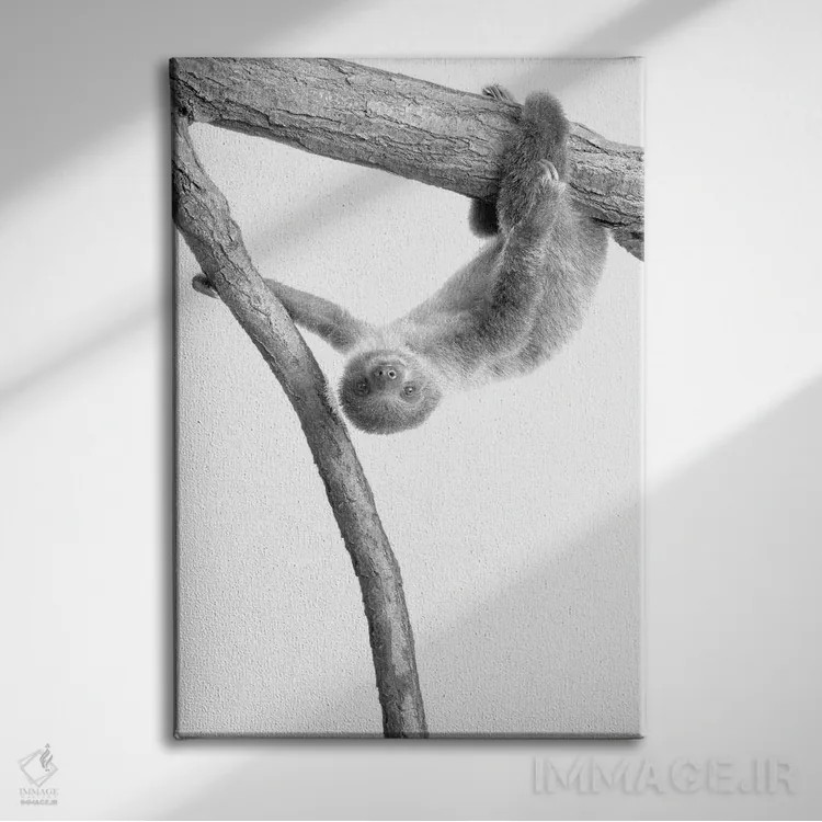 تابلو دکوراتیو تنبل کوچولو I اثر کیمبرلی آلن - نمای روبهرو روی دیوار