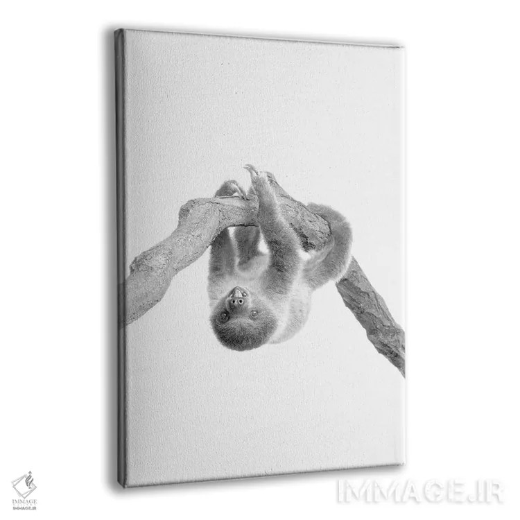 تابلو دکوراتیو تنبل کوچولو II اثر کیمبرلی آلن - نمای پرسپکتیو محصول