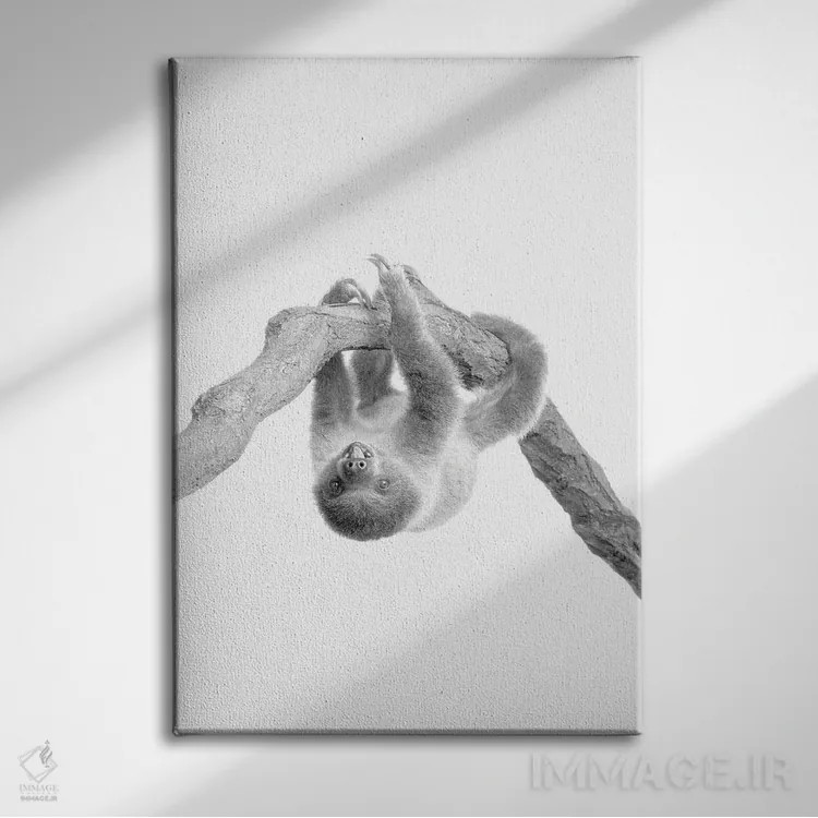 تابلو دکوراتیو تنبل کوچولو II اثر کیمبرلی آلن - نمای روبهرو روی دیوار