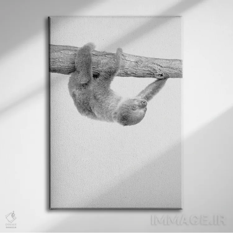 تابلو دکوراتیو تنبل کوچولو III اثر کیمبرلی آلن - نمای روبهرو روی دیوار