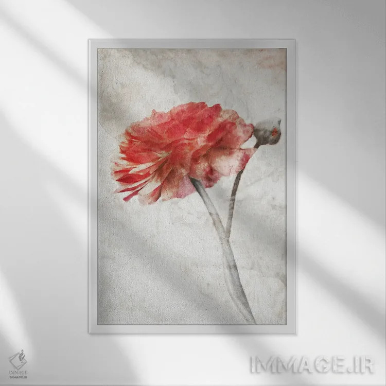 تابلو مدرن شکوفه سرخ خیره کننده اثر کاترینا جونز - نمای قابدار سفید