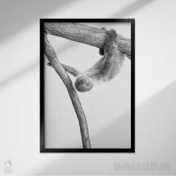 تابلو دکوراتیو تنبل کوچولو I اثر کیمبرلی آلن - نمای قابدار مشکی