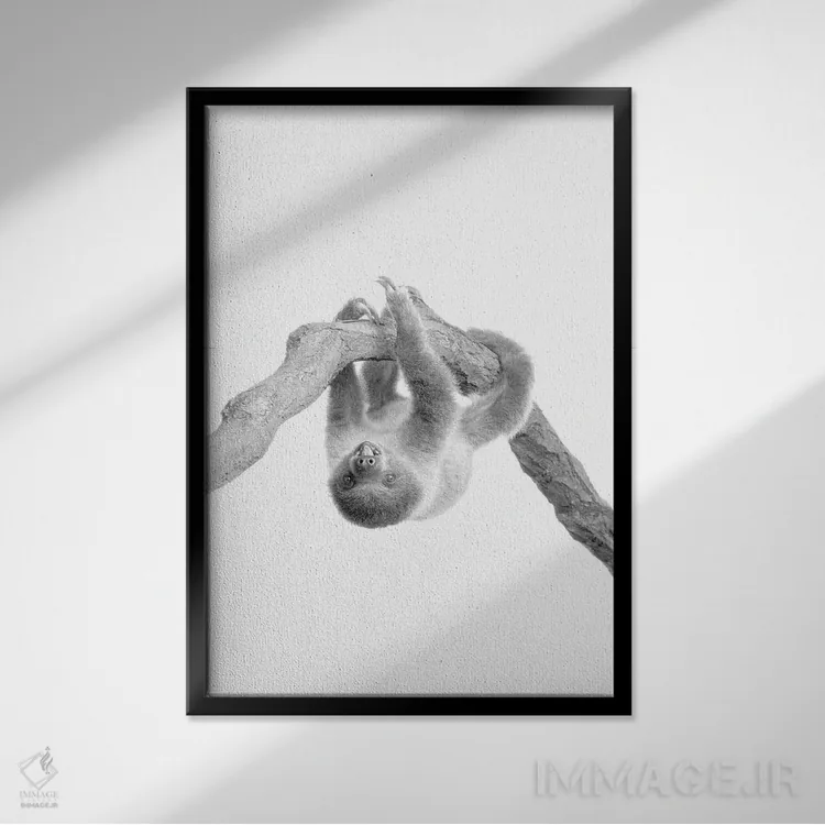 تابلو دکوراتیو تنبل کوچولو II اثر کیمبرلی آلن - نمای قابدار مشکی