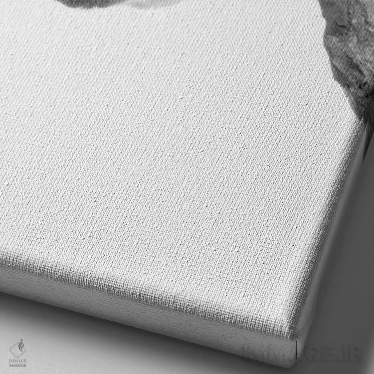 تابلو دکوراتیو تنبل کوچولو II اثر کیمبرلی آلن - نمای نزدیک بافت بوم