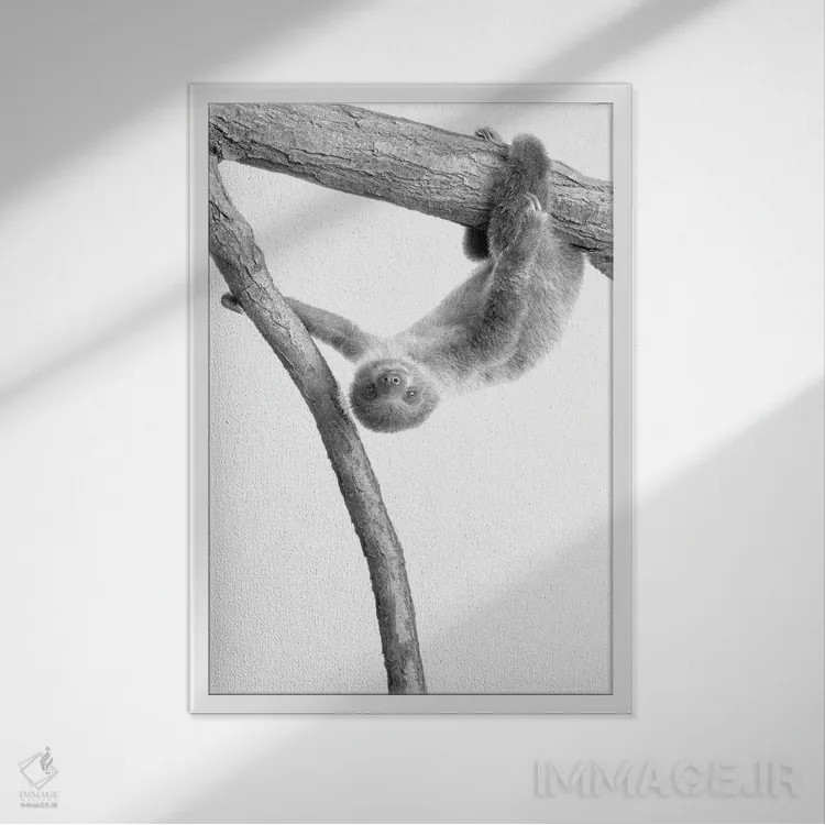 تابلو دکوراتیو تنبل کوچولو I اثر کیمبرلی آلن - نمای قابدار سفید