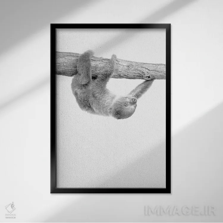 تابلو دکوراتیو تنبل کوچولو III اثر کیمبرلی آلن - نمای قابدار مشکی