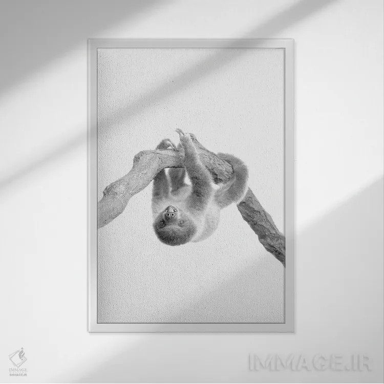 تابلو دکوراتیو تنبل کوچولو II اثر کیمبرلی آلن - نمای قابدار سفید