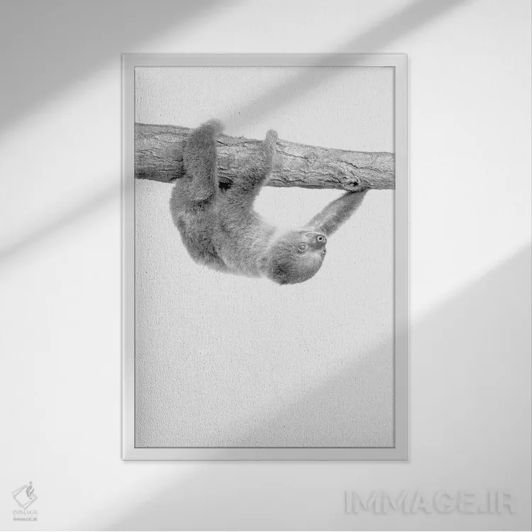 تابلو دکوراتیو تنبل کوچولو III اثر کیمبرلی آلن - نمای قابدار سفید