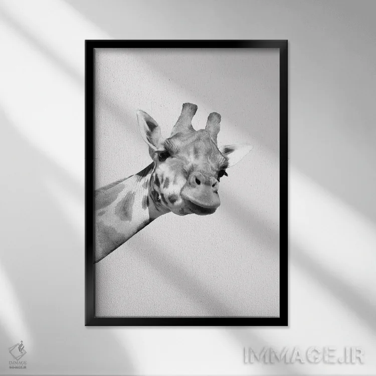 تابلو دکوراتیو زرافه های عجیب I اثر کیمبرلی آلن - نمای قابدار مشکی