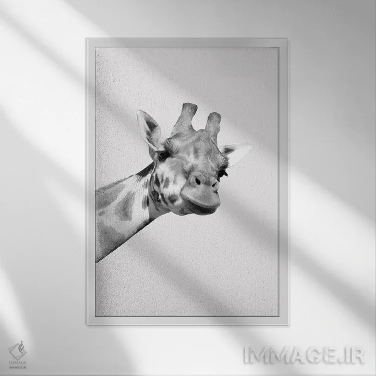 تابلو دکوراتیو زرافه های عجیب I اثر کیمبرلی آلن - نمای قابدار سفید
