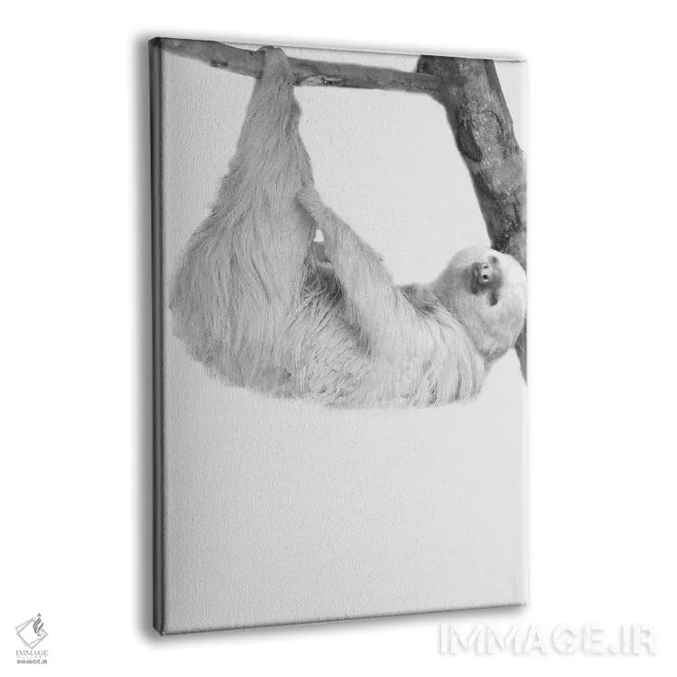 تابلو دکوراتیو تنبل های بامزه I اثر کیمبرلی آلن - نمای پرسپکتیو محصول