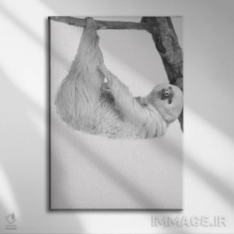 تابلو دکوراتیو تنبل های بامزه I اثر کیمبرلی آلن - نمای روبهرو روی دیوار