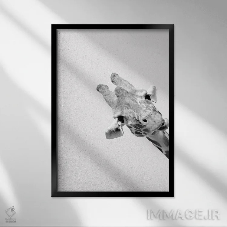 تابلو دکوراتیو زرافه های عجیب III اثر کیمبرلی آلن - نمای قابدار مشکی